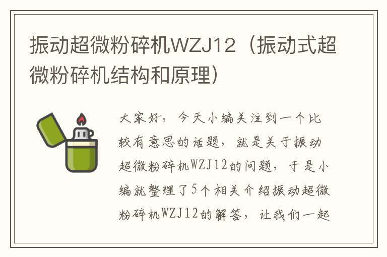 振动超微粉碎机WZJ12（振动式超微粉碎机结构和原理）