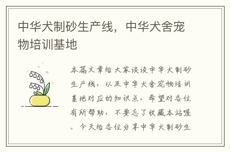 中华犬制砂生产线，中华犬舍宠物培训基地