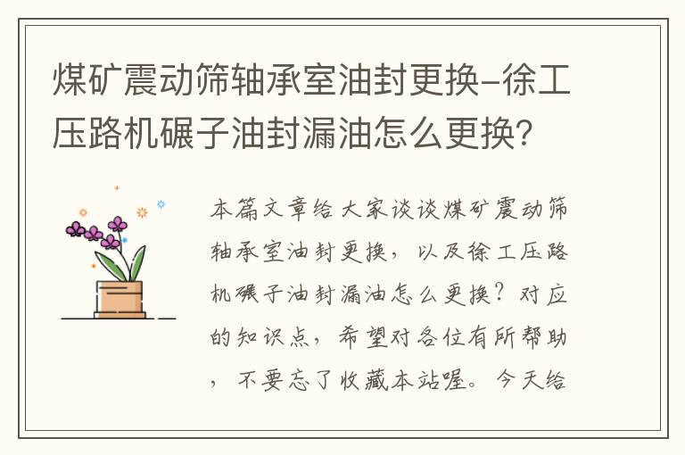 煤矿震动筛轴承室油封更换-徐工压路机碾子油封漏油怎么更换？