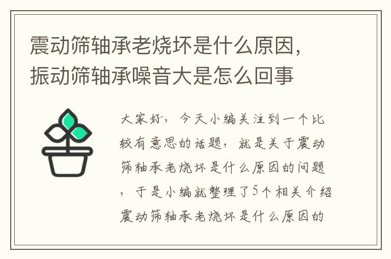 震动筛轴承老烧坏是什么原因，振动筛轴承噪音大是怎么回事