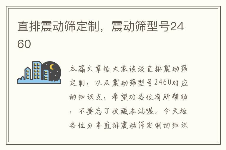 直排震动筛定制，震动筛型号2460