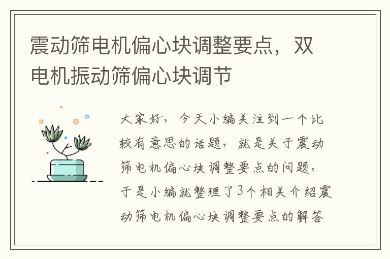 震动筛电机偏心块调整要点，双电机振动筛偏心块调节