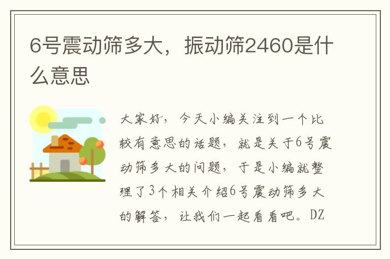 6号震动筛多大，振动筛2460是什么意思