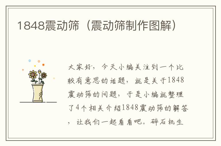 1848震动筛（震动筛制作图解）